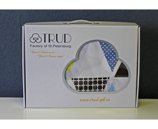 КПБ из бязи 2сп (2н. 70х70) Леонардо, изображение 9 - Интернет магазин "Труд"