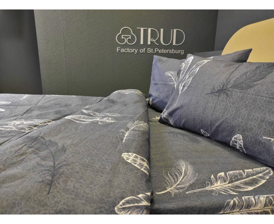 Простыня из бязи 200х220  Дуновение, изображение 2 - Интернет магазин "Труд"